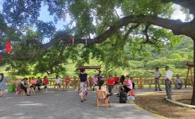 【项目一线】麻城：抓项目 强“造血” 促共富