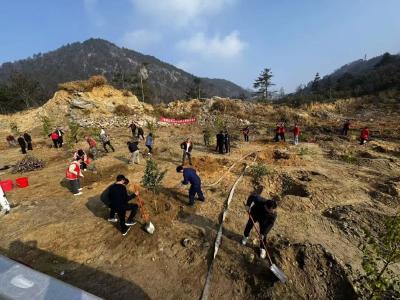龟峰山风景区开展义务植树活动 为景区增添新绿