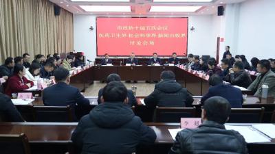 汪国兵参加政协界别分组讨论