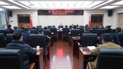 汪国兵参加宋埠代表团审议