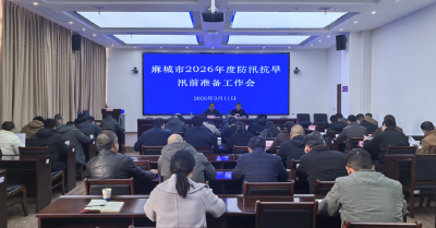 麻城市召开2026年防汛抗旱汛前准备工作会