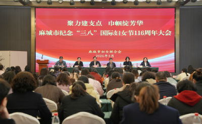 聚力建支点 巾帼绽芳华