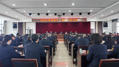 以项目攻坚赋能城市管理高质量发展