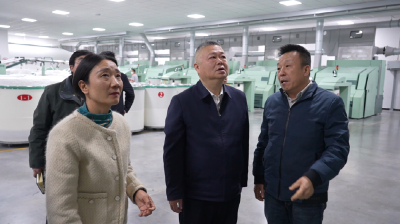 汪国兵调研工业经济稳增长工作