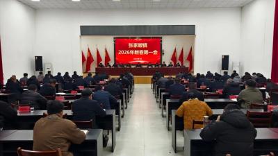 张家畈镇：凝心聚力抓项目 真抓实干促振兴