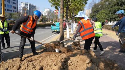 市城管执法局为城市“增色添彩”