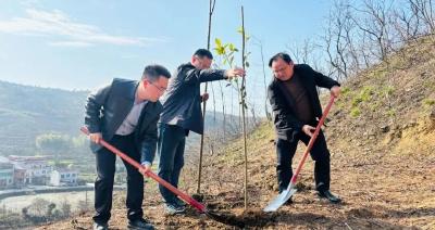 不负春光 “植”此青绿！今天，你为麻城“上色”了吗？