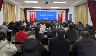 市林业局多维发力推动林业高质量发展