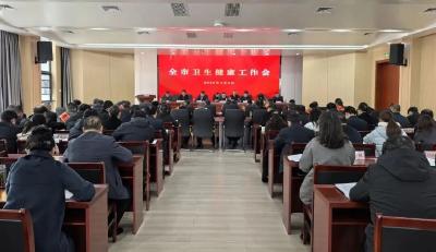 以人民健康为中心 全力推动麻城卫生健康事业高质量发展