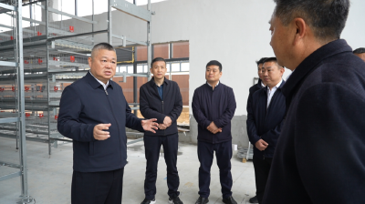 汪国兵深入阎家河镇、三河口镇调研一季度稳增长、乡村振兴、高标准农田建设工作