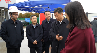 蔡绪安专题调研麻城重点项目建设