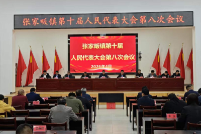 张家畈镇票决2026年度民生实事项目