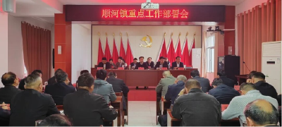 顺河镇：凝心聚力抓落实 守牢底线保平安