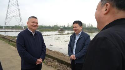 汪国兵深入宋埠镇调研树立和践行正确政绩观学习教育工作