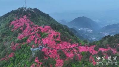 麻城文旅从“一枝独秀”到“全域开花”