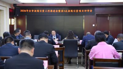 聚力招商引资开新局 严把项目评审提质效