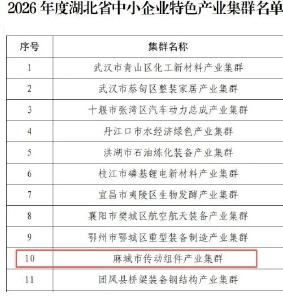 喜报！麻城市传动组件产业集群成功入选省中小企业特色产业集群名单