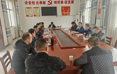 余家冲村扎实推进软弱涣散党组织整顿工作