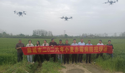 科技赋能防病害 稳产保粮护丰收