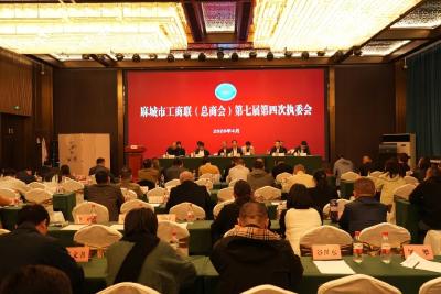 赓续红色薪火 青春建功麻城