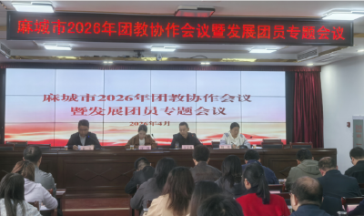 麻城召开2026年团教协作会议 部署全年重点任务