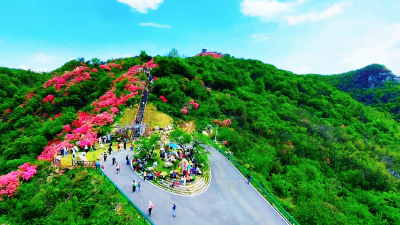 吊桥沟景区万紫千红迎宾朋