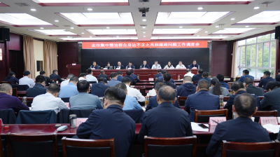 汪国兵调度集中整治群众身边不正之风和腐败问题工作