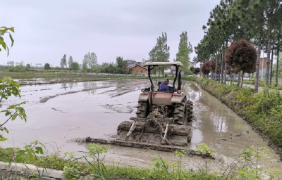 春耕“铁”军展雄姿 十万亩良田绘就“鄂东粮仓”新丰景