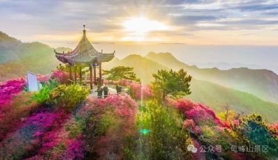 乘坐“新城快线” 赴春天盛宴