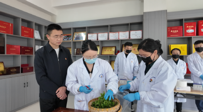 技术护航守质量 精准服务助茶兴
