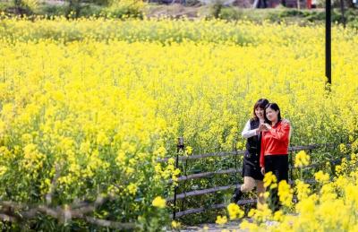 麻城东垸村：让文化成为别人抄不走的底牌