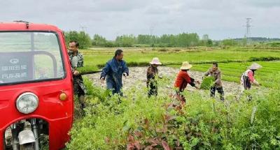 铁门岗乡于天岗村：春耕“耕”希望 实干“实”增收