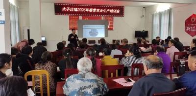 木子店镇筑牢农业生产安全线