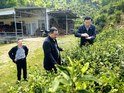 产业赋能添活力 民生关爱显温度