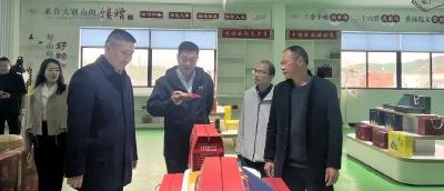 金融赋能助发展 携手共话振兴路