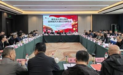 联防联控 多维发力 共筑大别山森林防灭火安全屏障 