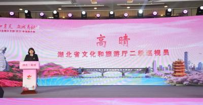 “花漾麻城·相约武汉”2026麻城全域大文旅专场推介会走进武汉