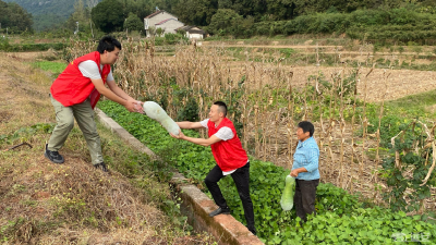 【文明单位创建】鸣凤镇：助力道德模范销售农产品  积极践行我为群众办实事