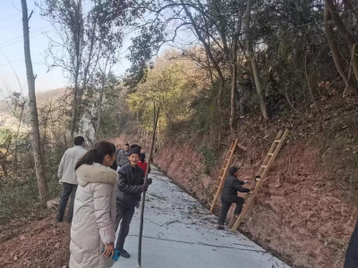 【幸福远安 共同缔造】洋坪镇凤凰村开展“迎新春、展新颜”环境卫生大扫除活动