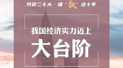 【成就宣传】共迎二十大·细“数”这十年丨图说：经济社会发展辉煌成就