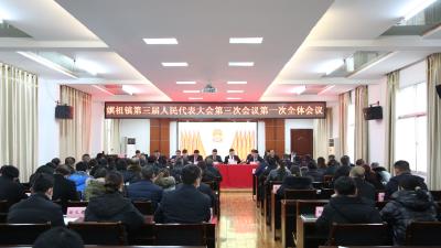 嫘祖镇第三届人民代表大会第三次会议胜利召开