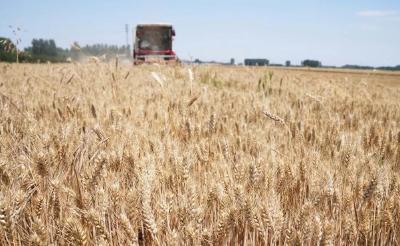 【成就宣传】我国农业农村取得历史性成就、发生历史性变革