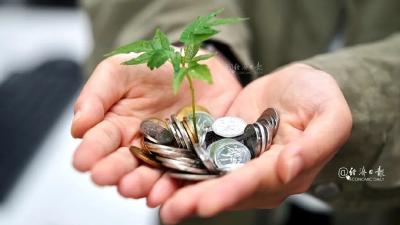 【唱响中国经济“光明论”】率先实现正增长，中国是怎么做到的→