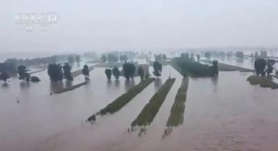 【热点难点问题权威解读】极端天气会越来越常见吗？权威解读来了！