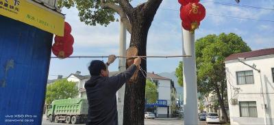 花林寺镇：开展集镇集中整治行动