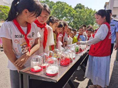 花林寺镇：禁毒宣传进校园 护航青春助成长