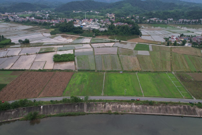 旧县镇：认养一块地 共享一片园