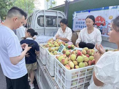 洋坪镇：多措并举助农售果促增收