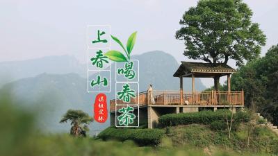 【短视频】上春山 喝春茶