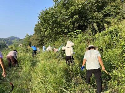 【幸福远安 共同缔造】鸣凤镇：齐心清理机耕道 助农增收向“钱”冲